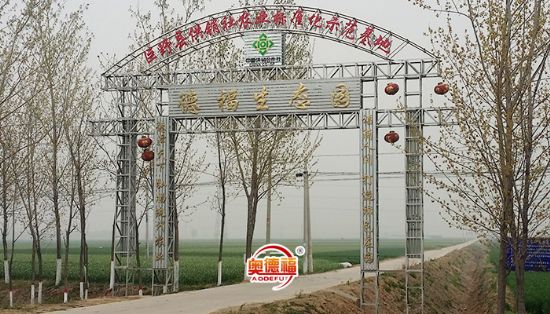 點擊查看詳細信息<br>標題：生態(tài)園 閱讀次數(shù)：7517